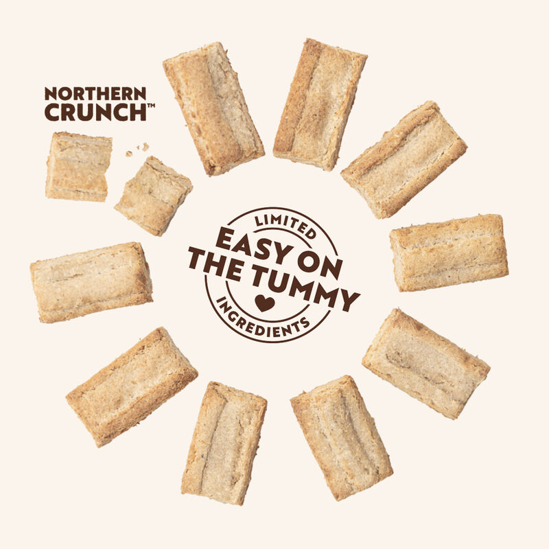 Northern Biscuit, Mini Mix Pumpkin Pie & Peanut Crunch - 450 g - Dog Biscuit image number null